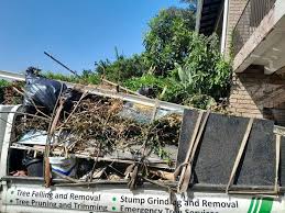 Best Electronics and E-Waste Disposal  in Belgium, WI